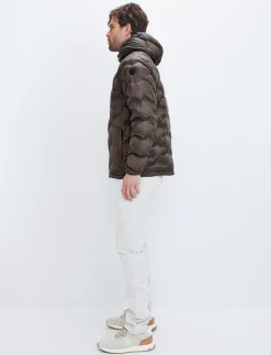 Sculpt 2.0 Jacket - Pale Brown